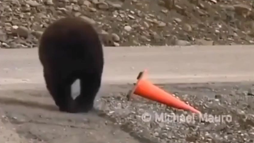 正 道 的 光